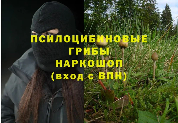 марки nbome Гусиноозёрск