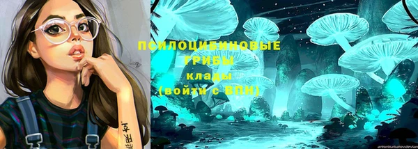 гидропоника Гусев