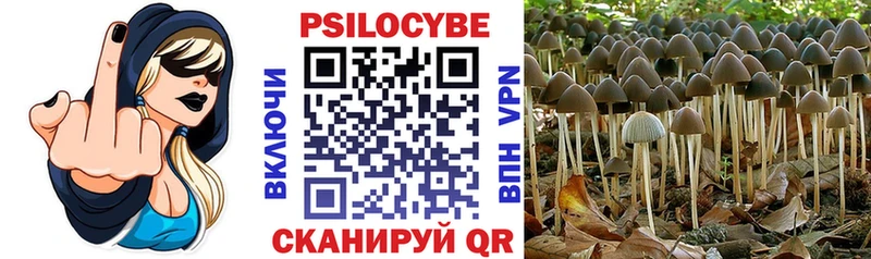 Псилоцибиновые грибы мухоморы Купить Кизел